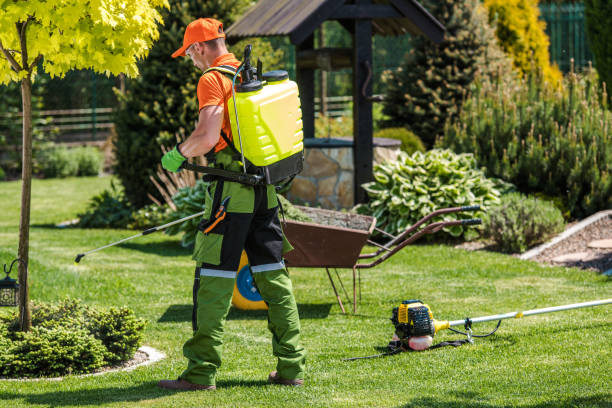 Best Lawn Pest Control  in Danville, AR